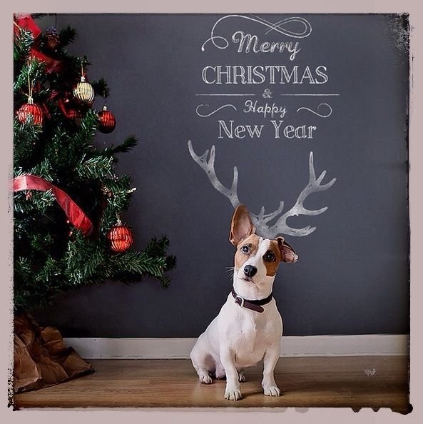 840824c9cab2a817bdc810e694caa795