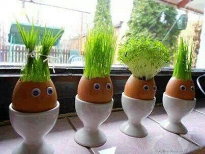 ba8b41763a6ec0bbf5b3c64cfbf48e7a